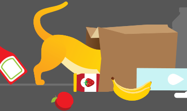 Get an Instant Pet Insurance Quote